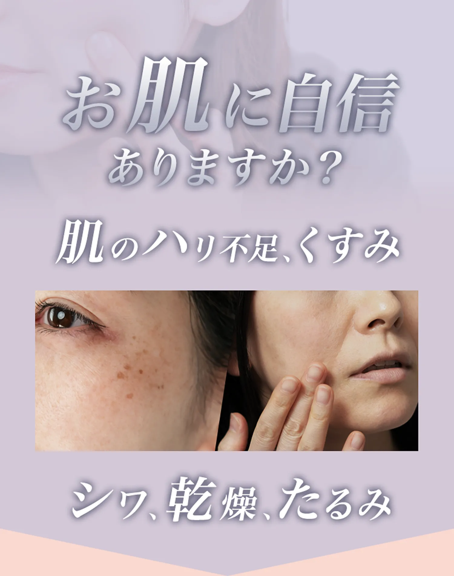 2050|おトクな定期コース