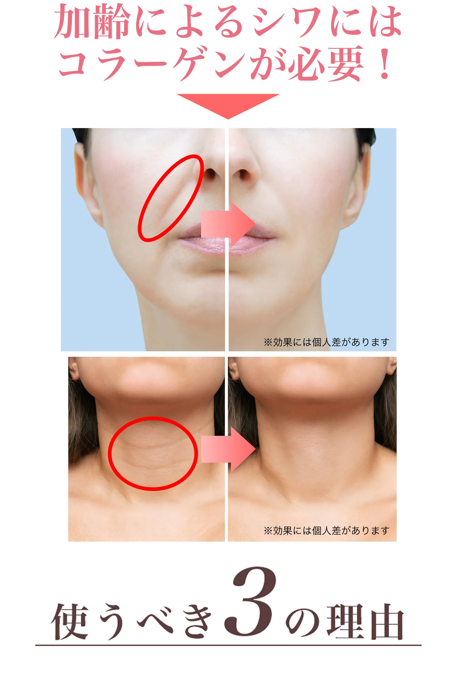 2050|おトクな定期コース